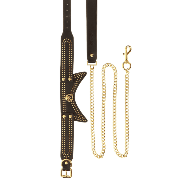Collier en cuir noir avec des détails dorés et une laisse.