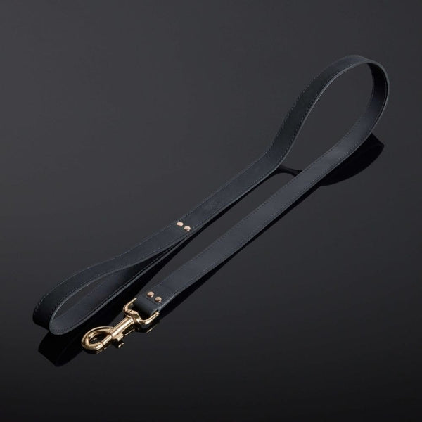 Packshot d'une Laisse en Cuir Nubuck couleur Noir
