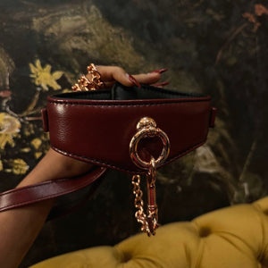 Photo d'un Collier en Cuir Rouge de Devant avec une Laisse En Cuir Rouge Avec Chaîne Dorée