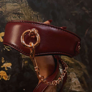 Photo d'un Collier en Cuir Rouge de Devant avec une Laisse En Cuir Rouge Avec Chaîne Dorée