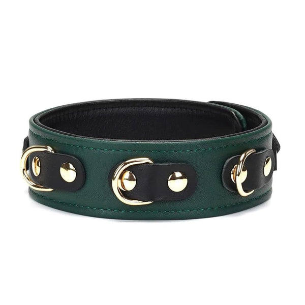 Packshot du Devant du Collier Mossy Chic en Cuir couleur Vert et Noir