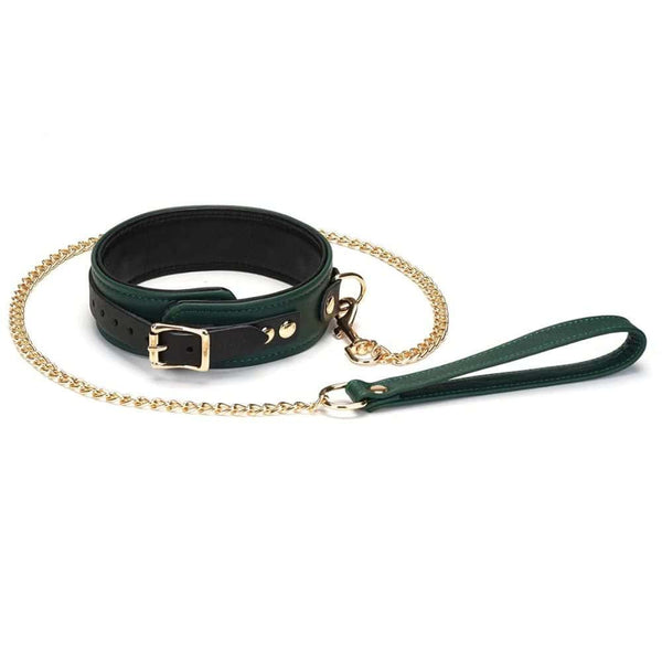 Packshot du Collier avec Laisse Mossy Chic en Cuir couleur Vert et Noir
