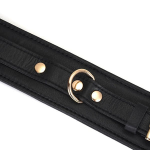 Packshot du Devant d'un Collier en Cuir Noir avec Anneaux Dorés