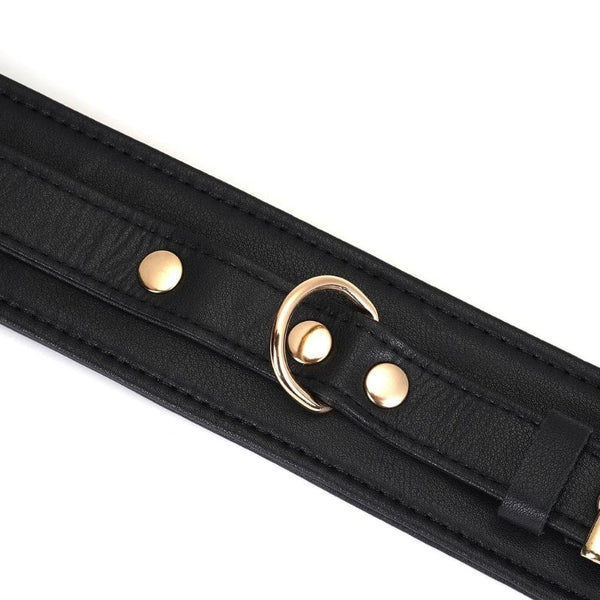 Packshot du Devant d'un Collier en Cuir Noir avec Anneaux Dorés