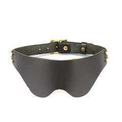 Packshot du Devant d'un Bandeau en Cuir Marron