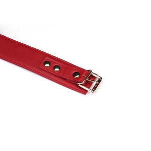 Set Collier Crimson Desire LIEBE SEELE en cuir rouge avec collier ajustable, laisse amovible et chaîne métallique dorée, présenté sur fond blanc en vue produit détaillée