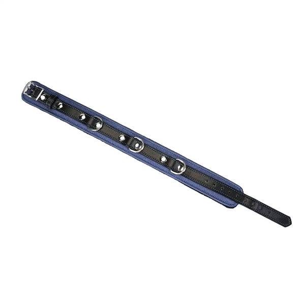 Collier laisse Denim LIEBE SEELE en cuir noir et bleu avec chaîne métallique et poignée assortie, présenté à plat sur fond blanc, vue produit détaillée