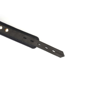 Packshot Collier BDSM en Cuir Noir et Or et Laisse Laiton en Or avec Détail Attache en Cuir Noir