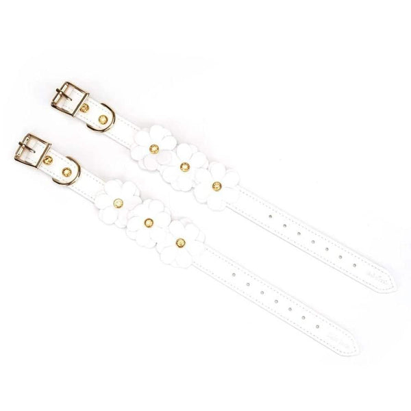 Packshot des Menottes pour Chevilles en Cuir Blanc avec Fleurs en Cuir Blanc Séparées et Mises à Plat