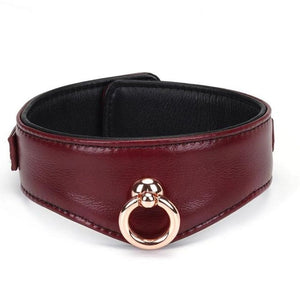 Packshot du Devant d'un Collier Incurvé avec Anneau en Cuir Rouge