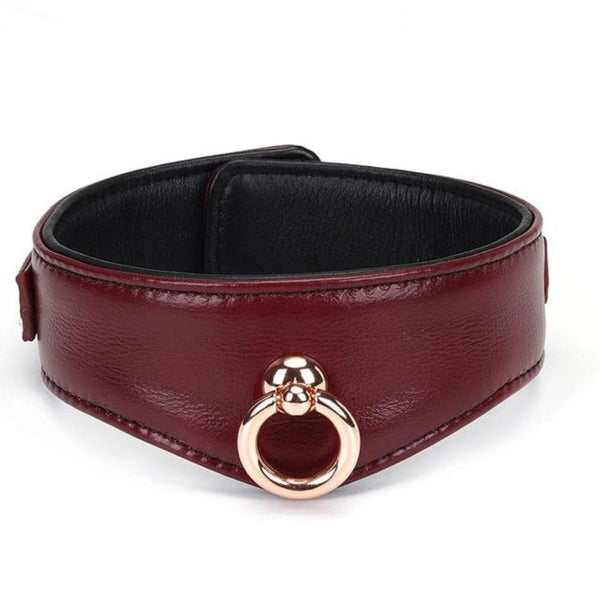 Packshot du Devant d'un Collier Incurvé avec Anneau en Cuir Rouge
