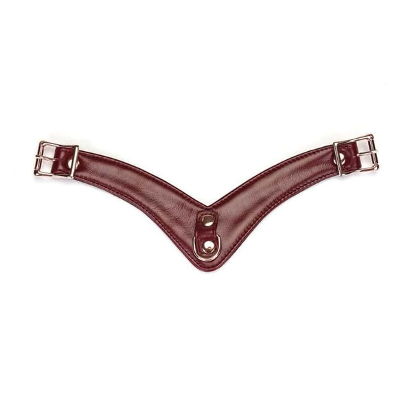 Packshot de la partie Détachable du Dos d'une Ceinture Harnais en Cuir couleur Rouge