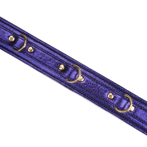 LIEBE SEELE - AURORA Halsband und Leine Saphir