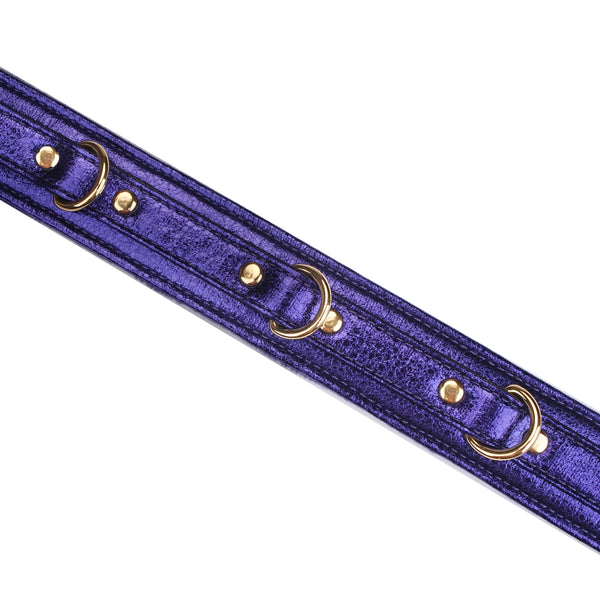 LIEBE SEELE - AURORA Halsband und Leine Saphir