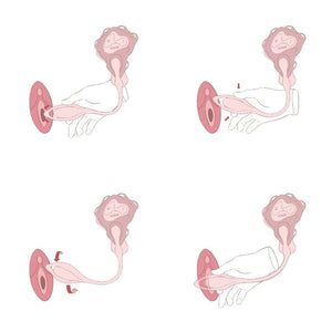 Illustrations explicatives montrant les positions d’utilisation d’un vibromasseur UEROS et les zones de stimulation, vues schématiques sur fond clair.