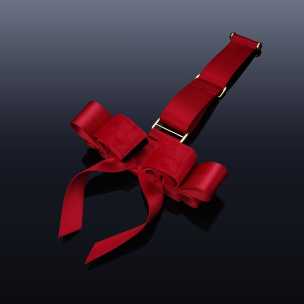 Set de Contraintes Rouge Noeud Sangle en polyester et Velours Pièces métalliques en Alliage de zinc