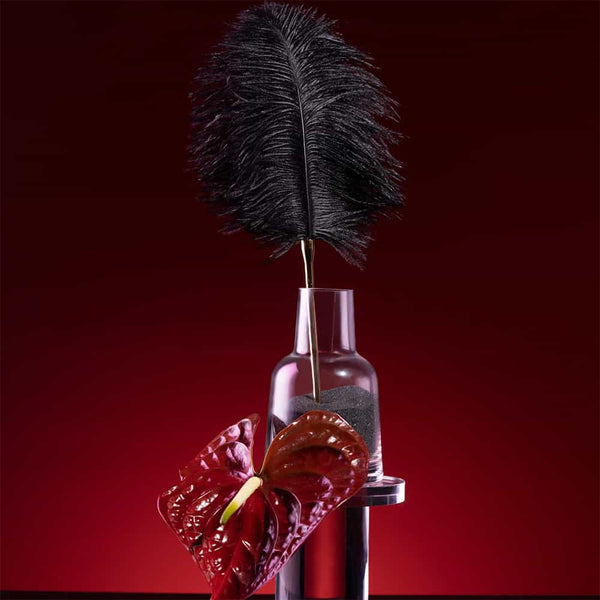 Plume noire dans un vase.