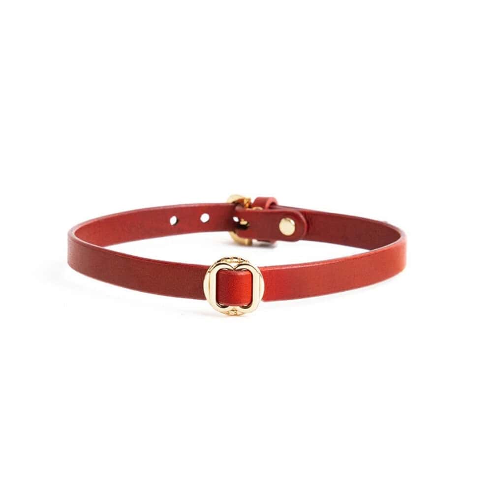 Collier ANOESES en cuir rouge présenté à plat, bande fine avec anneau métallique central et fermeture réglable à boutons-pression, esthétique fétiche haut de gamme Brigade Mondaine Paris.