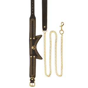 Collier en cuir noir avec des détails dorés et une laisse.