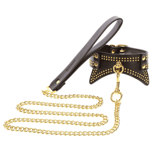 Collier en cuir noir avec des détails dorés et une laisse.