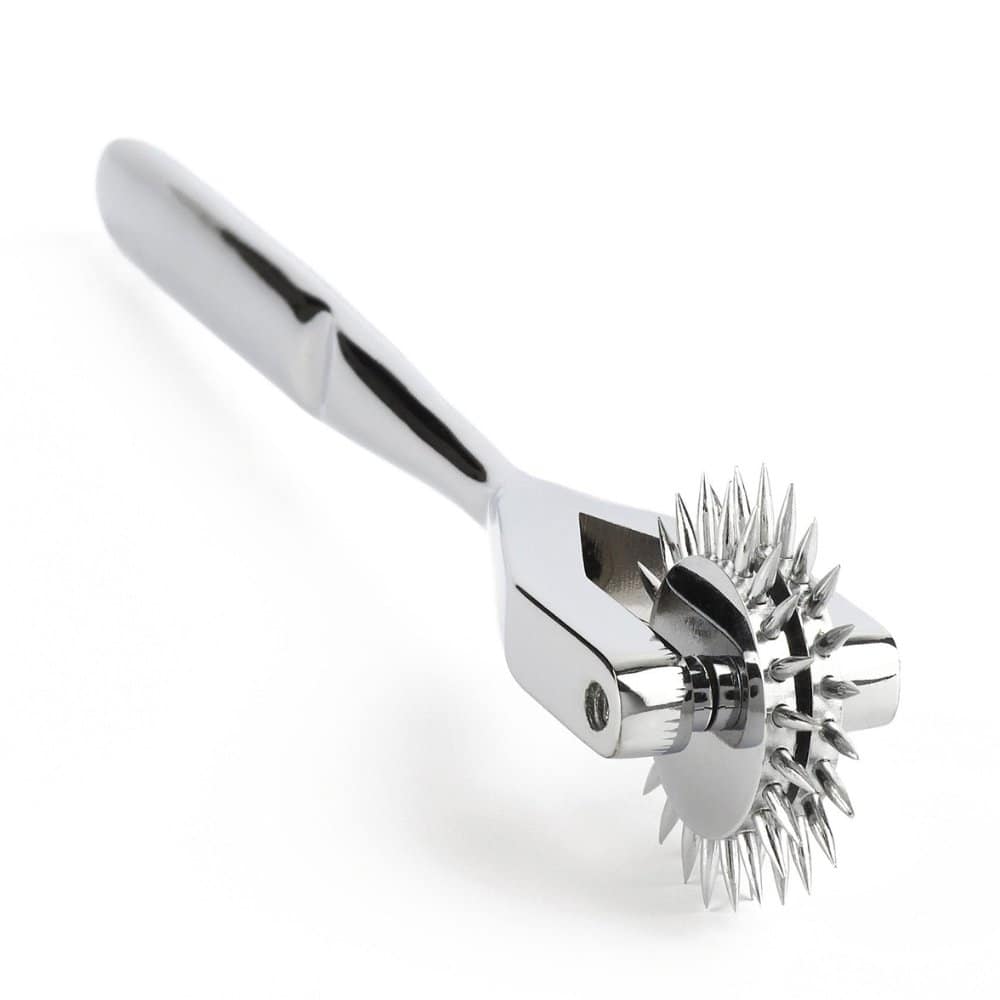 Roulettes de Wartenberg en acier inoxydable Argenté pointes fines et affûtées pour jeu sensoriel