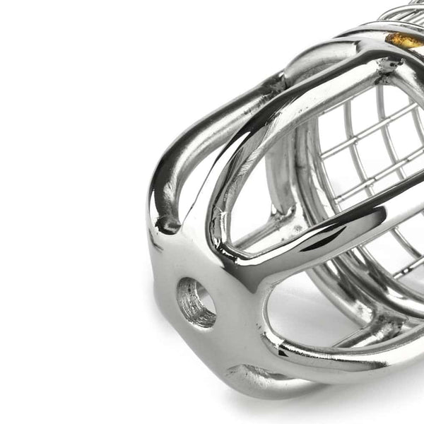 Cage de chasteté pour homme en Acier inoxydable surface polie facile à nettoyer durable non poreux et compatible avec tous les lubrifiants mécanisme de verrouillage avec cadenas et clé