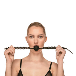Bâillon boule BDSM composé d’une boule noire mate et de sangles en cuir noir texturé avec rivets et bouclerie dorée, présenté sur fond sombre dans une mise en scène élégante.