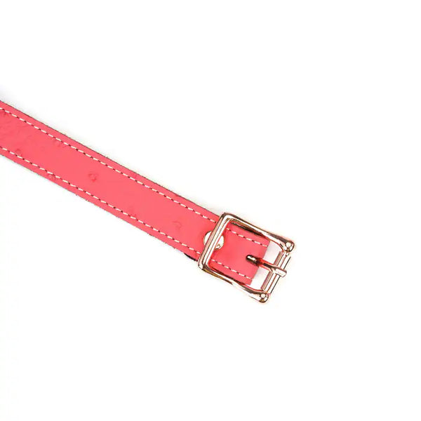 Choker Cœur en cuir rose embossé peau d’autruche avec cœur central en métal or rose. Boucle métallique robuste. Accessoire fétichiste séduisant et affirmatif. Ajustable pour un confort parfait.