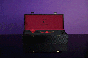 malle noir avec intérieure rouge. On y retrouve des accessoires upko noir et une rose ball gang rouge.