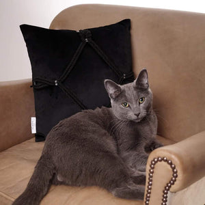 Ce coussin en velours doux avec un ornement Shibari noué sur le devant – le motif de diamant classique « Kikkou ». Exécuté de la même manière que tous les autres produits Figure of A, avec du matériel métallique en bronze à canon et des extrémités de corde à pointe pendantes, c’est un cadeau unique qui a fière allure placé sur un canapé ou un lit. Ce coussin est disponible chez Brigade Mondaine.