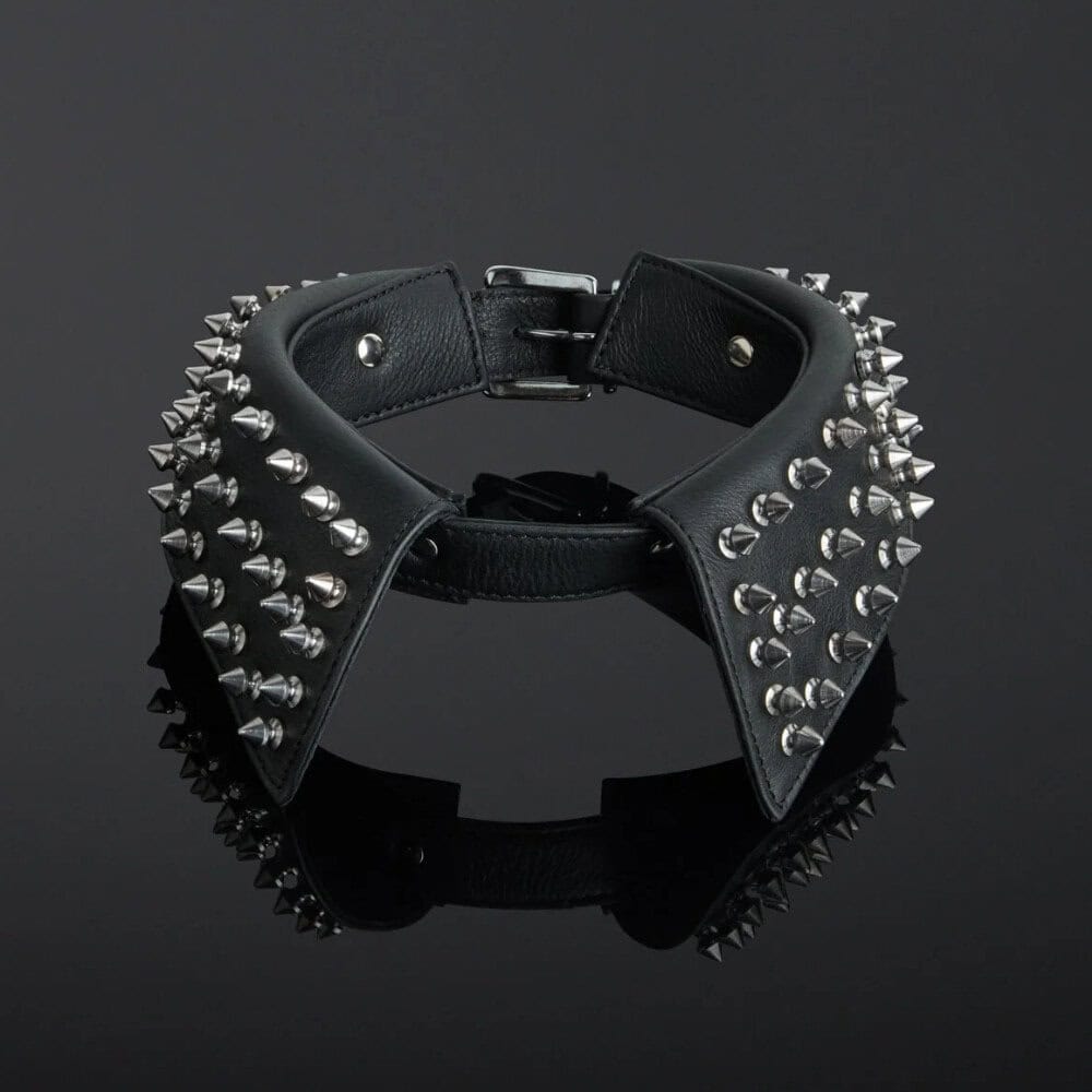 HOUSE of SXN - Tormenta Spiked BDSM Collar