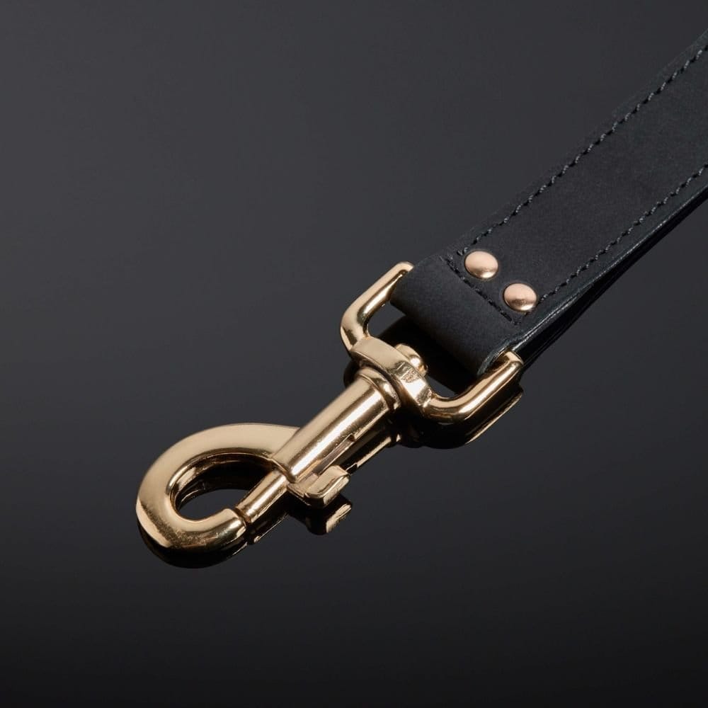 Détail sur la Boucle du Packshot d'une Laisse en Cuir Nubuck couleur Noir