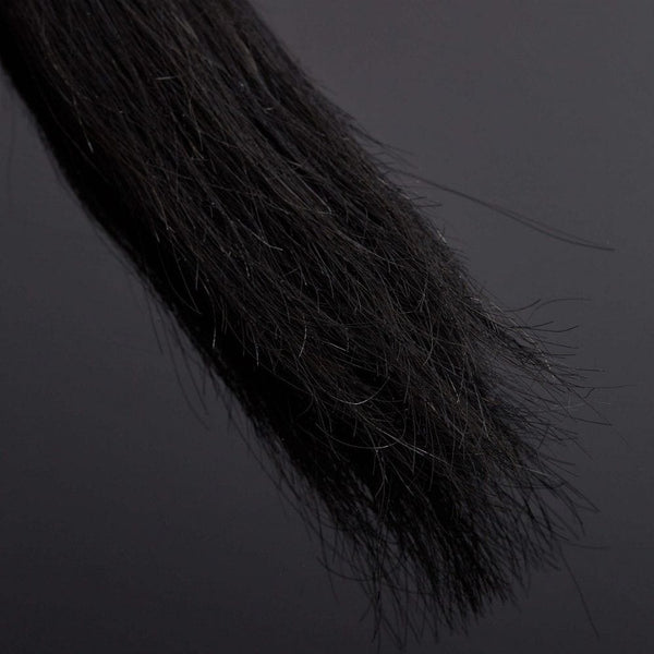 Détails sur les Poils de Cheval du Packshot d'un Fouet en Cuir et Poils de Cheval couleur Noir