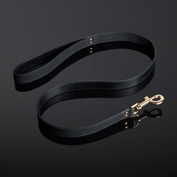 Packshot d'une Laisse en Cuir Nubuck couleur Noir