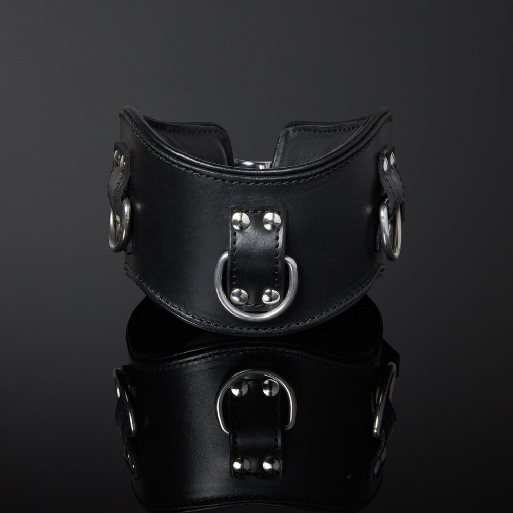 Collier Bondage en Cuir Noir Rembourré avec quatre anneaux D argenté