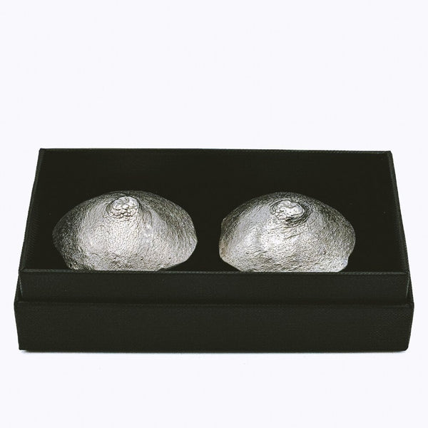 INCARNEM - Nipple covers SKIN Silver