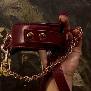 Photo d'un Collier en Cuir Rouge de Côté avec une Laisse En Cuir Rouge Avec Chaîne Dorée