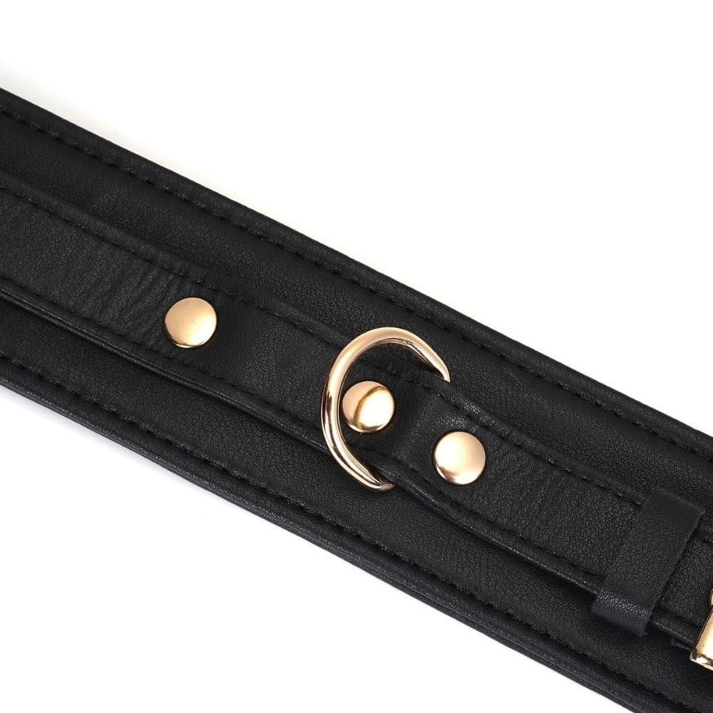Packshot du Devant d'un Collier en Cuir Noir avec Anneaux Dorés