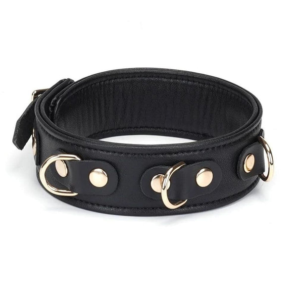 Packshot du Devant d'un Collier en Cuir Noir avec Anneaux Dorés