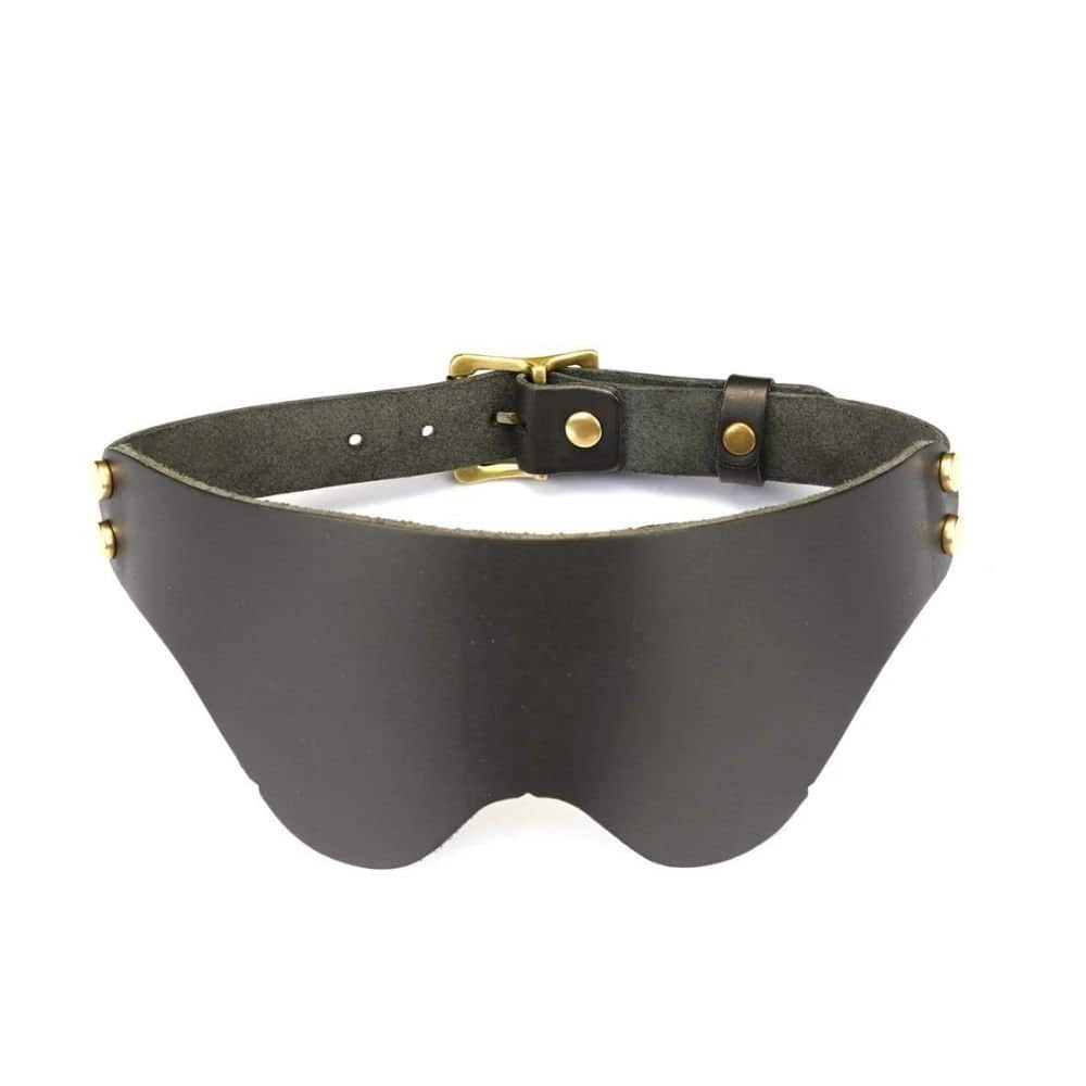 Packshot du Devant d'un Bandeau en Cuir Marron