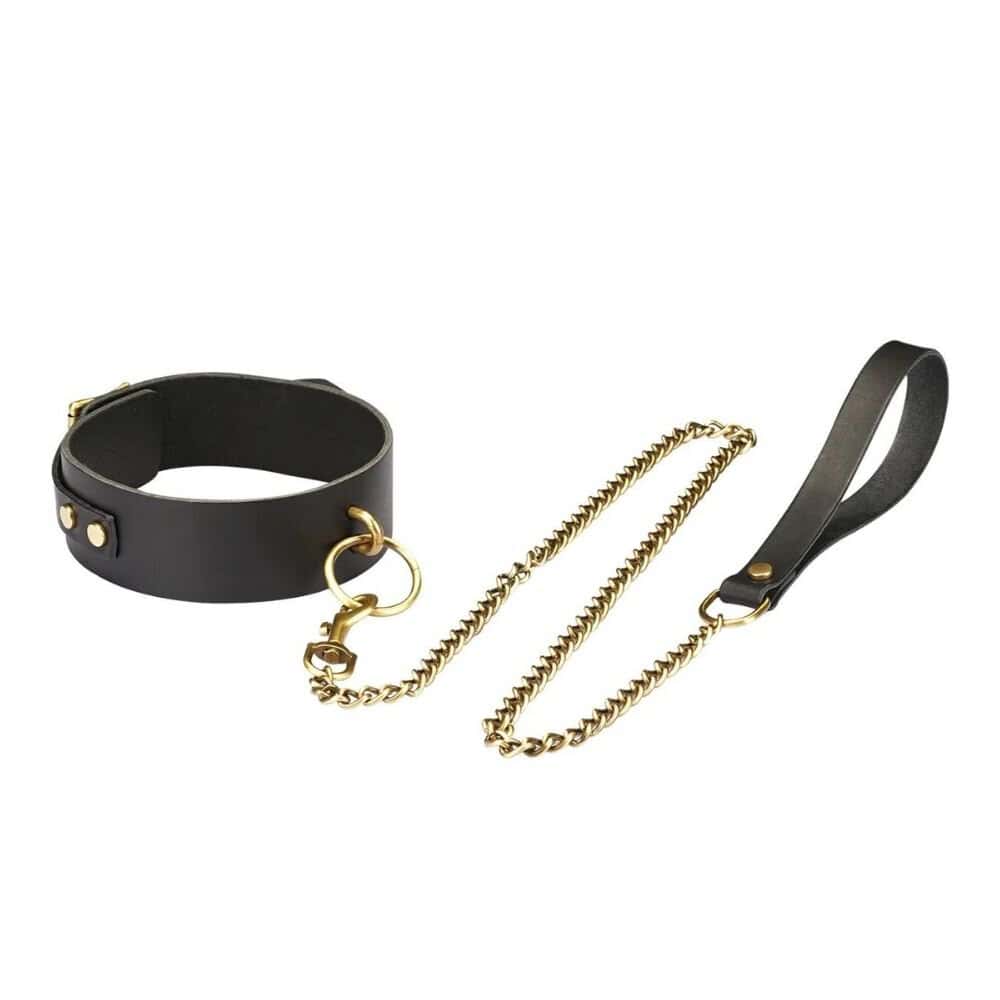 Packshot du Collier en Cuir Marron avec Anneau Or et de la Laisse Attachée en Cuir Marron et Chaîne Or
