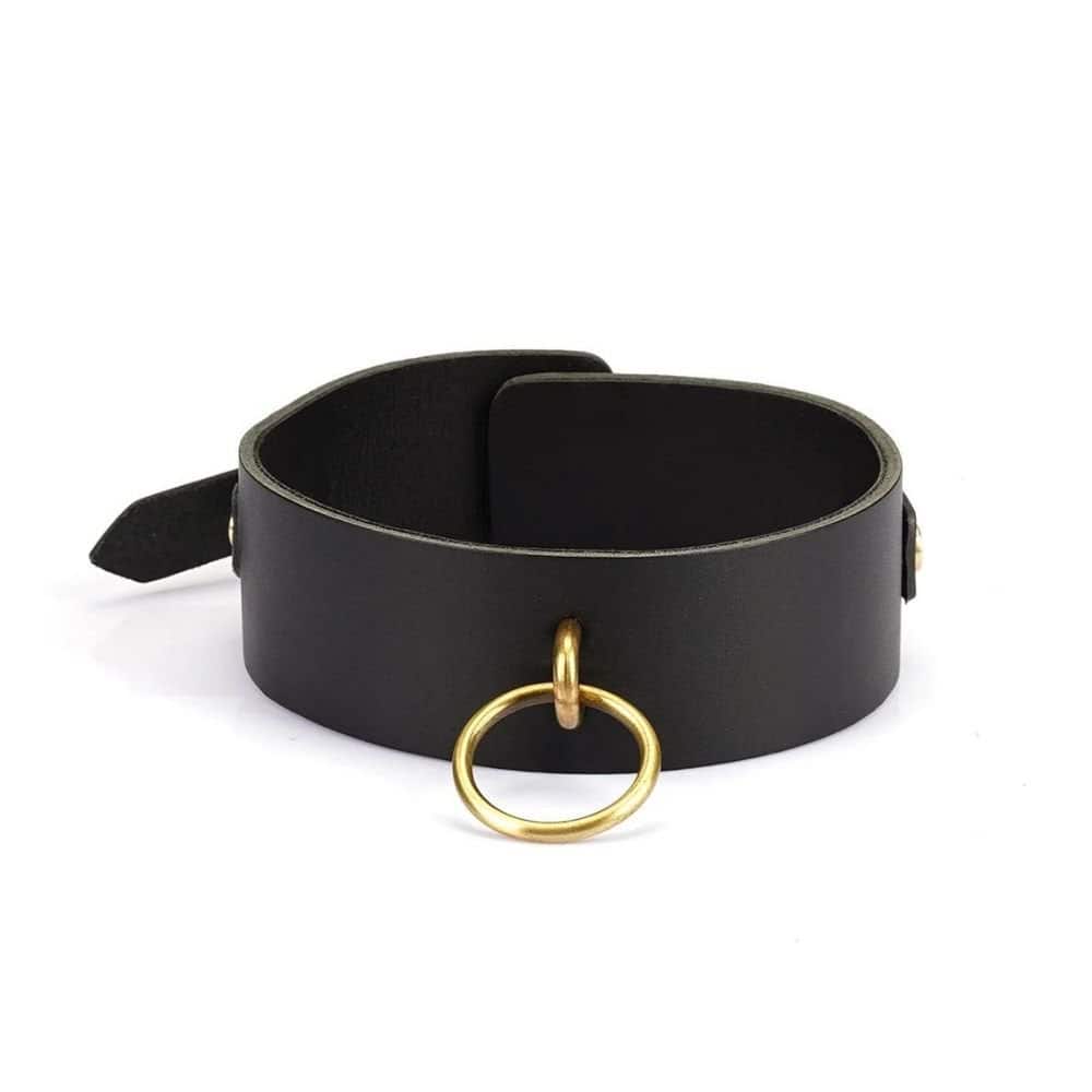 Packshot du Devant du Collier en Cuir Marron avec Anneau Or