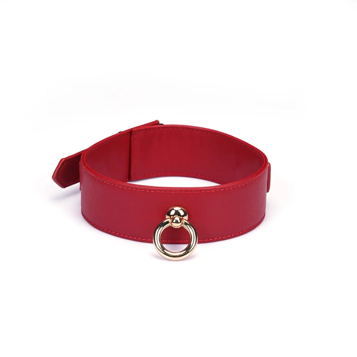 Set Collier Crimson Desire LIEBE SEELE en cuir rouge avec collier ajustable, laisse amovible et chaîne métallique dorée, présenté sur fond blanc en vue produit détaillée