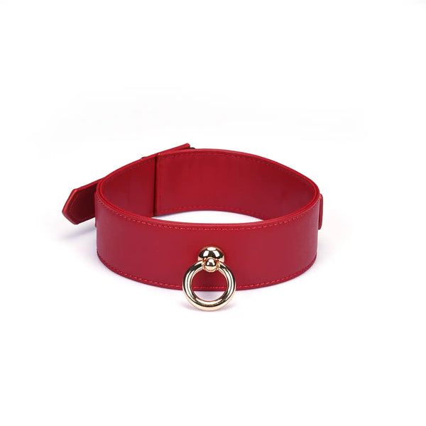 Set Collier Crimson Desire LIEBE SEELE en cuir rouge avec collier ajustable, laisse amovible et chaîne métallique dorée, présenté sur fond blanc en vue produit détaillée