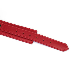 Set Collier Crimson Desire LIEBE SEELE en cuir rouge avec collier ajustable, laisse amovible et chaîne métallique dorée, présenté sur fond blanc en vue produit détaillée