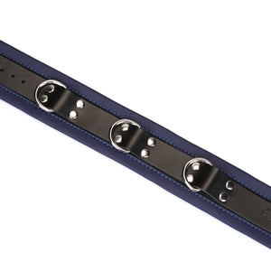 Set Collier Cerulean LIEBE SEELE en cuir bleu avec collier ajustable, laisse amovible en chaîne métallique argentée et poignée, présenté sur fond blanc en vue produit détaillée