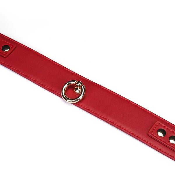 Set Collier Crimson Desire LIEBE SEELE en cuir rouge avec collier ajustable, laisse amovible et chaîne métallique dorée, présenté sur fond blanc en vue produit détaillée