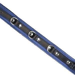 Collier laisse Denim LIEBE SEELE en cuir noir et bleu avec chaîne métallique et poignée assortie, présenté à plat sur fond blanc, vue produit détaillée