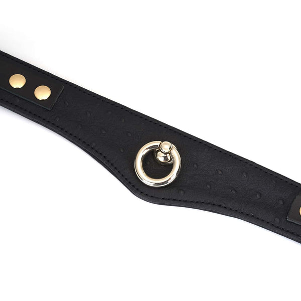 Packshot Collier BDSM en Cuir Noir et Or et Laisse Laiton en Or avec Détail sur Attache Rond en Or