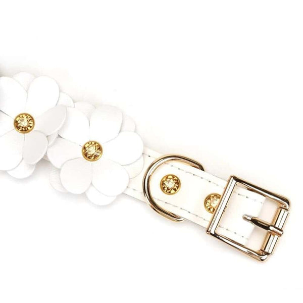 Détail du Packshot du Dessus de Menottes en Cuir Blanc avec Fleurs en Cuir Blanc Mises à Plat